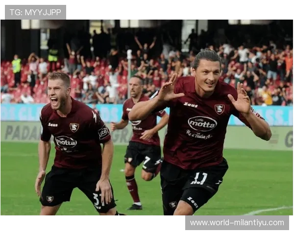 米兰体育app萨勒尼塔纳赞助商带来的合作机遇与未来发展前景分析