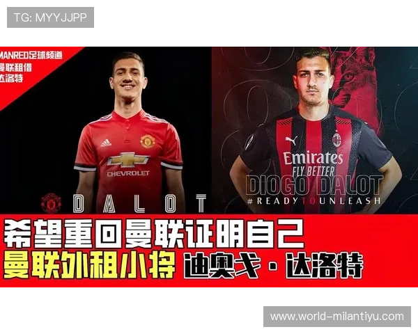 米兰体育在线地址的使用规范和注意事项解析